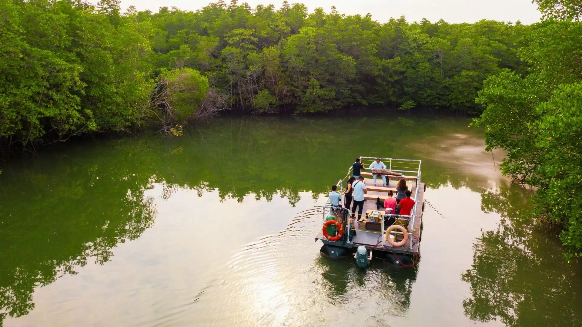 Mangrove river route in Bintan